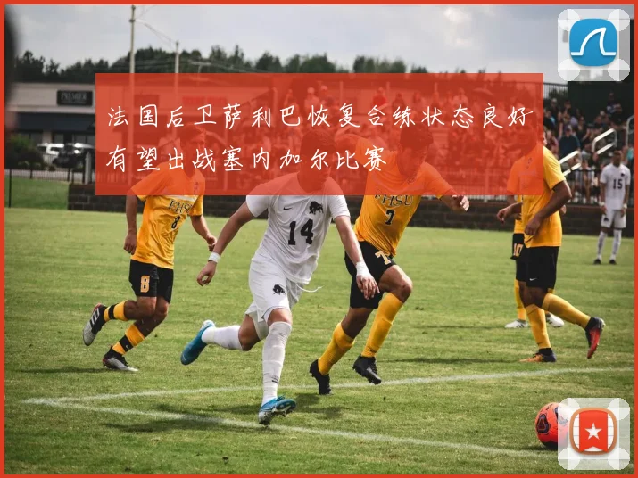 法国后卫萨利巴恢复合练状态良好有望出战塞内加尔比赛