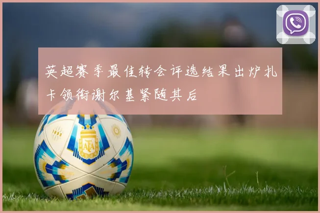 英超赛季最佳转会评选结果出炉扎卡领衔谢尔基紧随其后